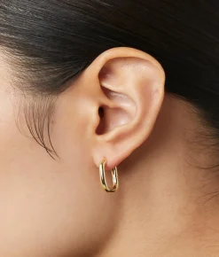 Rox Small Gold Hoop Earrings - Ana Luisa