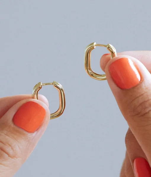 Rox Small Gold Hoop Earrings - Ana Luisa